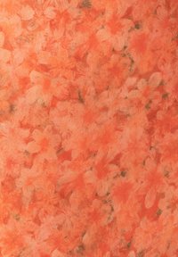 Unselected, orange bloom