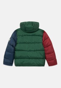 Polsterjacke mit Kapuze, grünem Körper, roten und marineblauen Ärmeln, gesteppter Optik und rundem Logo auf dem linken Arm.