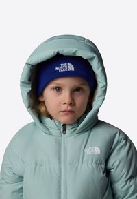 The North Face Zimní kabát - muted pine