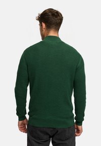 Grøn striktrøje med lange ærmer og høj krave. Struktureret stof, tætsiddende design samt ribstrikkede manchetter og kant. Vist fra bagsiden.