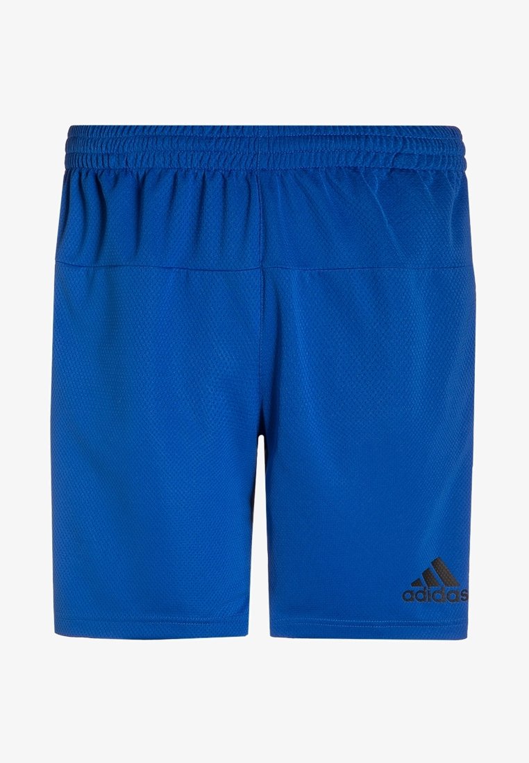 adidas Performance Pantalón corto de deporte - blue/utility black