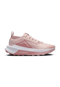 Nike Performance ZEGAMA TRAIL 2 - Scarpe da trail running - pink oxford/red stardust-photon dust-burgundy crush-mtlc platinum