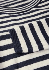 Pull en tricot rayé bleu marine et blanc, avec un col rond et des cuffs côtelés, présentant des rayures larges et étroites alternées.