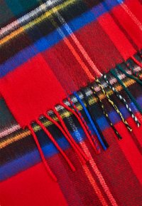 Johnstons of Elgin SCARF UNISEX - Scarf - multi-coloured
