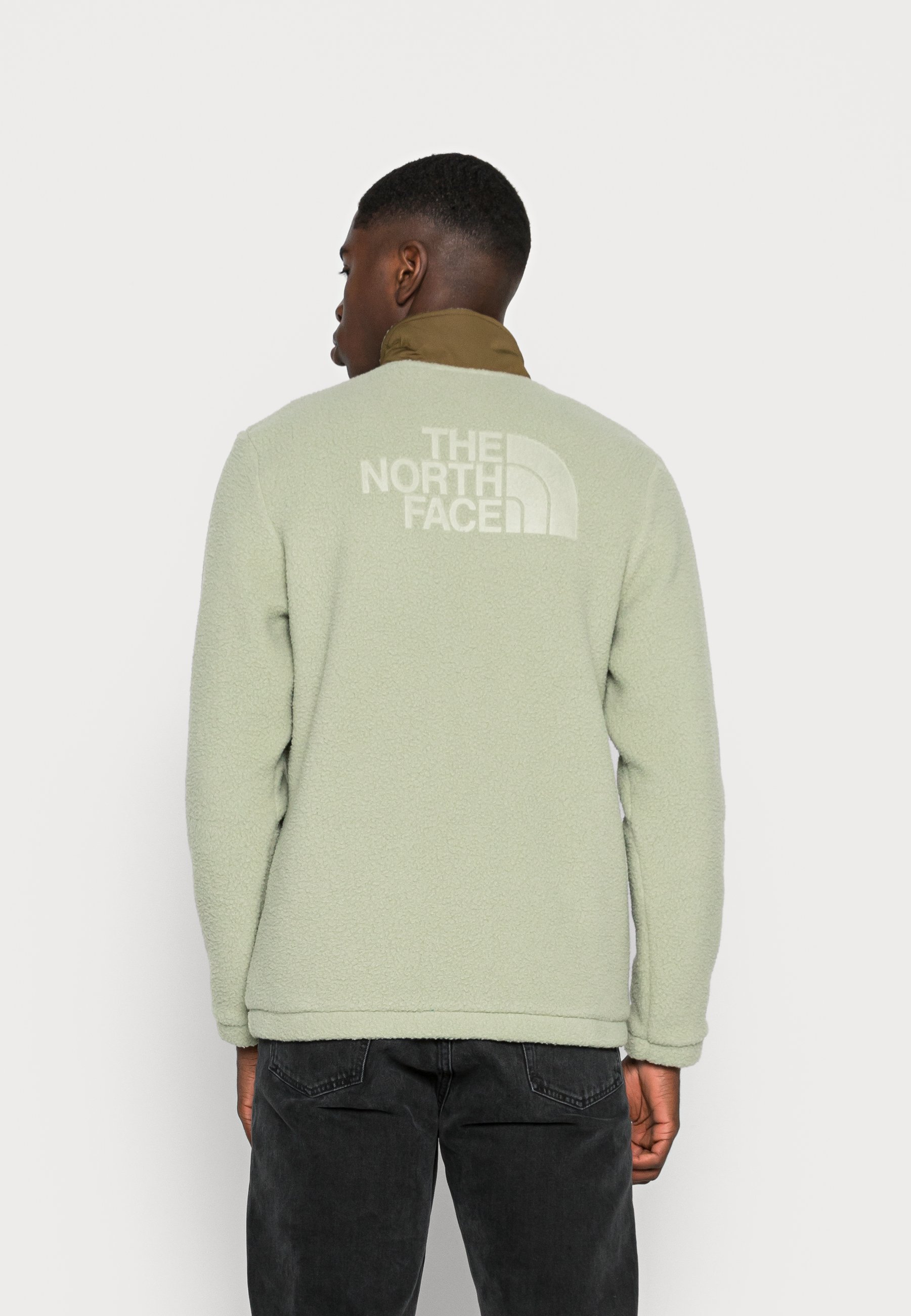 The North Face BLEAKLOW - Forro polar - tea green/military olive/verde -  Zalando.es