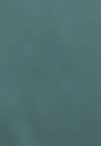 Twee mensen die elkaar buiten de hand schudden met op de achtergrond een stadsgezicht onder een heldere lucht.