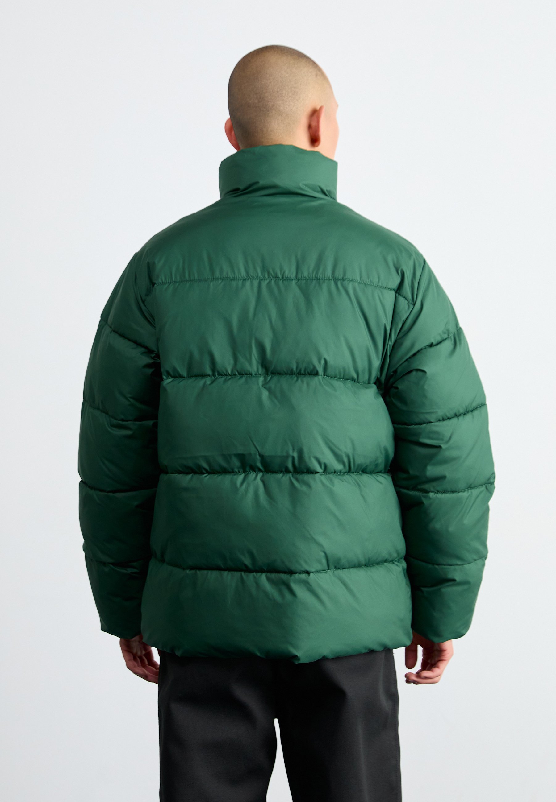 Carhartt WIP SPRINGFIELD JACKET - Winterjacke - sycamore tree/duck