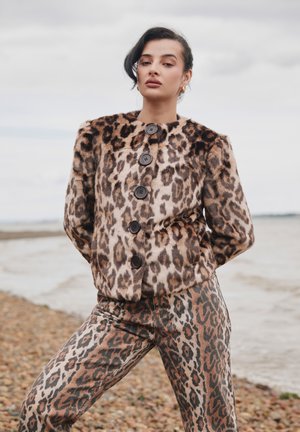 COLLARLESS JACKET - Vinterjakke - multi-coloured