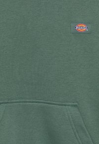 Dickies Jersey con capucha - dark green