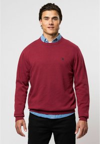 U.S. Polo Assn. ADAIR - Džemperis - tibetan red