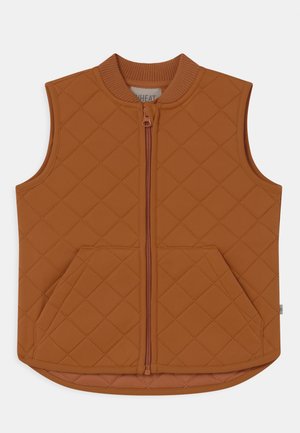 THERMO EDEN UNISEX - Waistcoat - terracotta