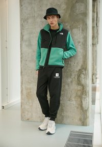 The North Face DENALI - Flisinė striukė - deep grass green