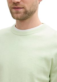 Lichtgroen sweatshirt met een ronde hals, geribde manchetten en een zachte textuur. Bevat een klein logo op de borst.