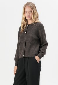JDY JDYLUMI LIFE - Cardigan - bracken