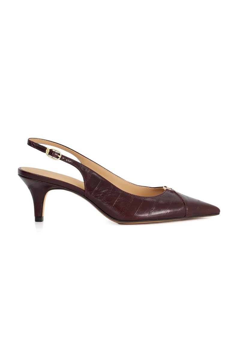 Dark brown leather slingback kitten heel shoe with pointed toe and gold buckle strap on white background.