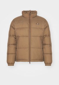 WALDENBURG JACKET - Chaqueta de invierno - mushroom