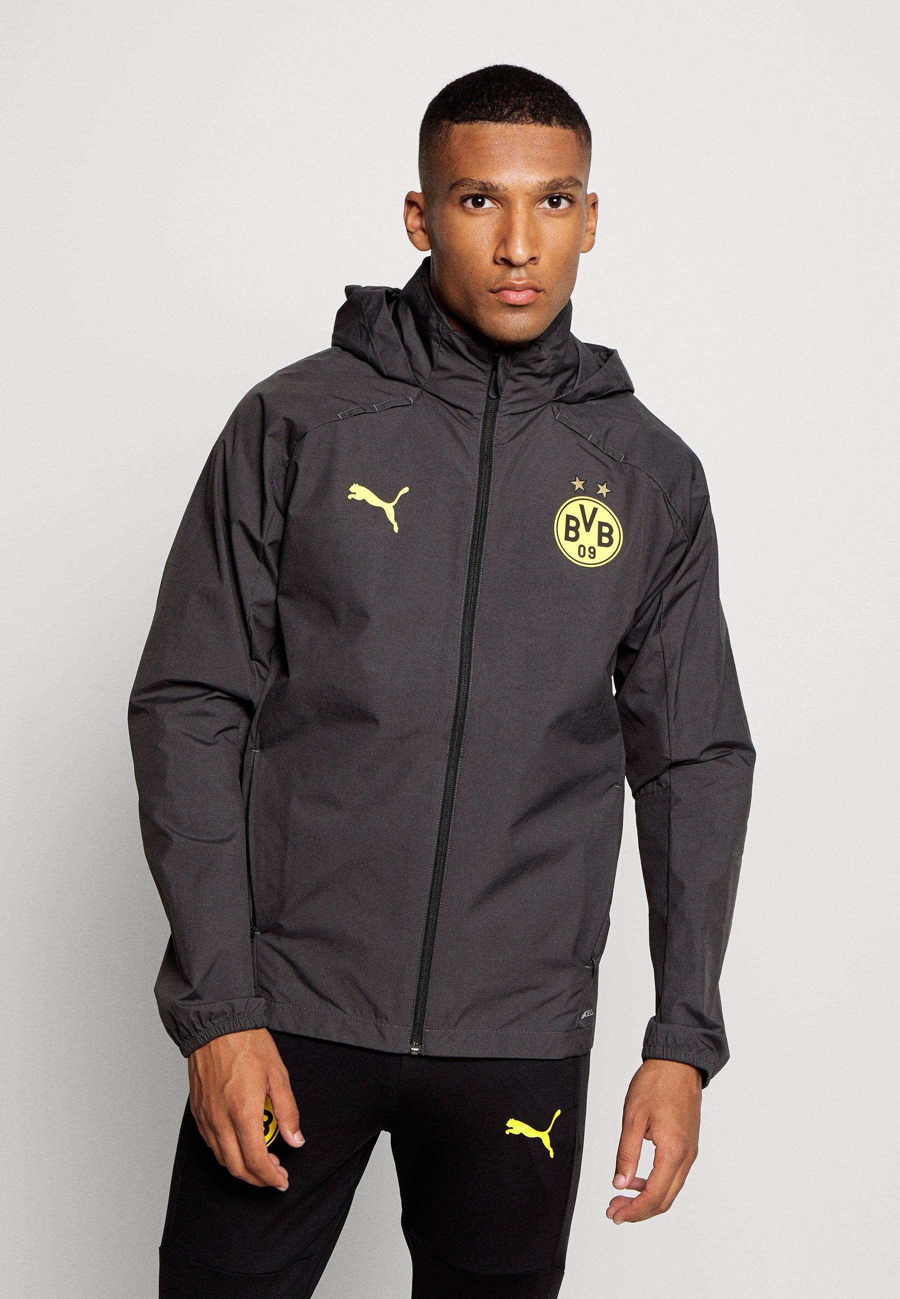 bvb puma jacket