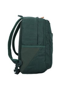 Dakine ESSENTIALS LAPTOPFACH - Rugzak - juniper