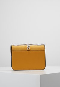 Borsa a mano in pelle gialla con una forma rettangolare elegante, dotata di una tracolla in argento e di una chiusura metallica decorativa sul davanti.