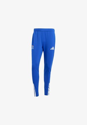 Pantaloni sportivi blu realizzati in tessuto leggero, caratterizzati da un design affusolato, bande laterali bianche e un logo sulla parte anteriore.