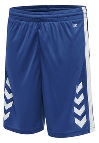 Blå sportshorts gjorda av glänsande tyg, med en texturerad midjeband och vita chevronmönster på sidorna.