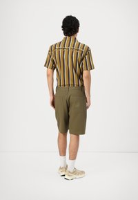 Short-sleeve, brown and gold striped shirt paired with olive green shorts featuring two back pockets and logo detail; model facing away.