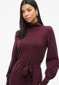 Robe en tricot bourgogne à col roulé avec manches longues, taille cintrée et détail de ceinture nouée. Texture lisse et coupe épurée.