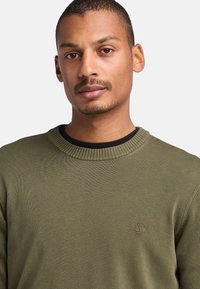 Maglione verde oliva con scollatura a costine e texture. Presenta un piccolo logo discreto sul petto. Design classico e aderente.