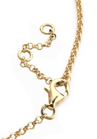 Guldkedja med en hummerlås och cirkulära länkar. Slät yta med en blank finish, med en liten fästring.