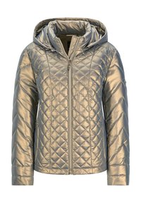 Quilted Kapuzenjacke in metallic Silber. Mit tailliertem Design, Reißverschluss und diagonalem Steppmuster an den Ärmeln. Glatte, glänzende Textur.