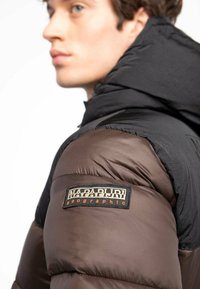 Napapijri EBONY  - Winterjacke - brown