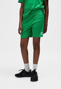 Groene sportshorts van glanzend materiaal, met een elastische tailleband en een wit logodetail aan de linkerkant; gedragen met zwarte schoenen en grijze sokken.