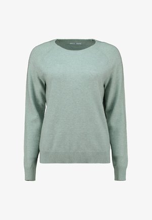 Hellgrüner Pullover mit rundem Halsausschnitt, langen Ärmeln und geripptem Saum. Aus weichem Material mit glatter Textur und einfachem Design gefertigt.