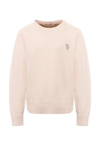 Maglione rosa chiaro lavorato a maglia con scollo rotondo e polsini a coste. Presenta un piccolo logo ricamato sul petto e una texture morbida.