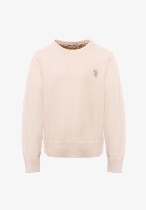 Maglione rosa chiaro lavorato a maglia con scollo rotondo e polsini a coste. Presenta un piccolo logo ricamato sul petto e una texture morbida.