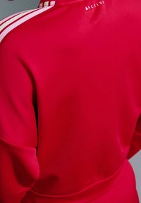 Personne portant une veste de sport rouge avec des bandes blanches sur l'épaule et le texte « Active » près du col, vue de dos.