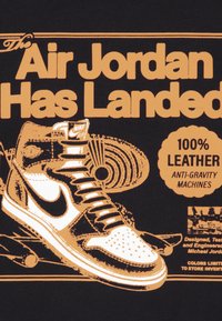 Jordan AIR HAS LANDED - Sweatshirt com capuz - black
