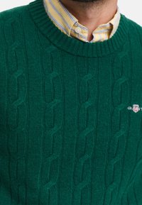 GANT Maglione - green