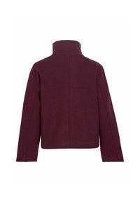Veste rouge foncé avec un col montant, des manches longues et une couture droite dans le dos, vue de dos sur fond blanc.