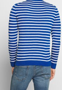 Modrý a bílý pruhovaný svetr s dlouhými rukávy, kulatým výstřihem a žebrovaným lemem; vyrobený z měkkého pleteného materiálu. Kombinován s modrými džínami.