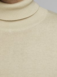 Pull en col roulé beige avec une texture côtelée, doté d'un col replié et d'un tissu tricoté lisse. Aucun motif ou accent visible.