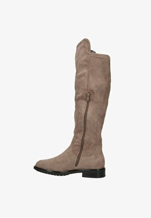 Stivali alti fino al ginocchio in suede taupe con cerniera laterale, texture liscia, punta rotonda e tacco nero basso. Design semplice e classico.