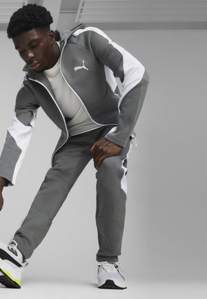 Puma EVOSTRIPE  - Sweater met rits - mineral gray