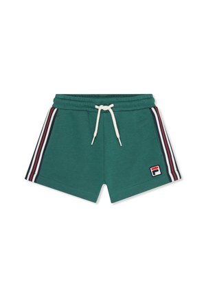 Shorts da sport verdi con coulisse bianca, strisce laterali rosse, bianche e nere, e una toppa rettangolare con logo sulla gamba sinistra.