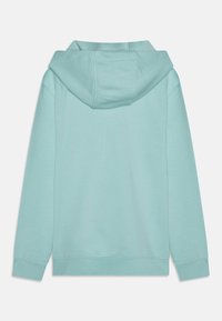 Felpa verde menta con cappuccio regolabile, maniche lunghe e un tessuto texture. Il design è semplice, senza motivi o loghi visibili.
