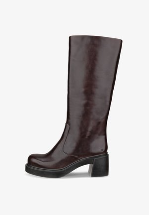 Brūni ceļgalu līdzīgi zābaki ar elegantu dizainu, masīlu papēdi un gludu ādas apdari, parādīti uz baltā fona.