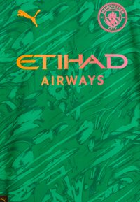 Maglia sportiva verde con un design texturizzato e accenti verde scuro, "ETIHAD AIRWAYS" in arancione e rosa, e logo Puma.