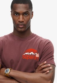 Superdry & Co GREAT OUTDOOR CHEST GRAPHIC - Camiseta estampada - rum raisin brown