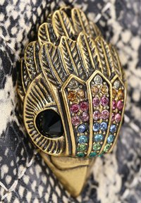 Gouden broche in de vorm van een veer, met een zwarte edelsteen en veelkleurige strassstenen in een patroonontwerp.