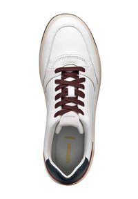 Zapatilla de cuero blanca con cordones y acentos en burdeos. Presenta una textura suave, punta redondeada y un contra talón trasero en verde oscuro.